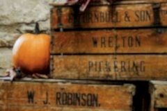Pumpkin-on-crates-Angela-Waites