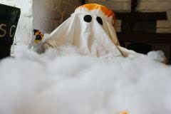 Ghost-in-bath-tub-Angela-Waites